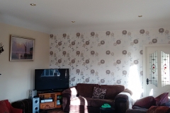 11_interior_biscotti